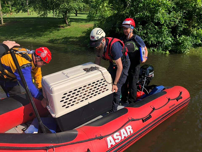 USAR animal rescue specialist training