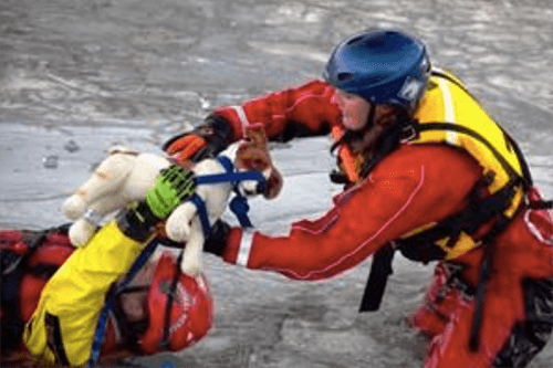 animal ice rescue training