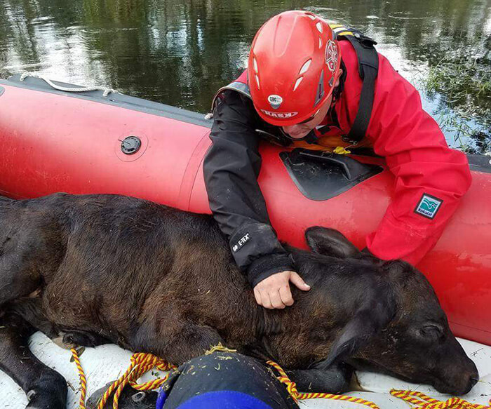 animal rescue boat operations training