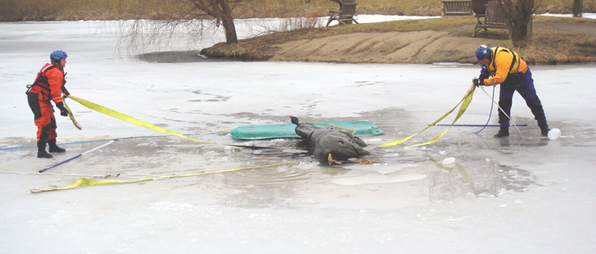 animal rescue on ice training horse