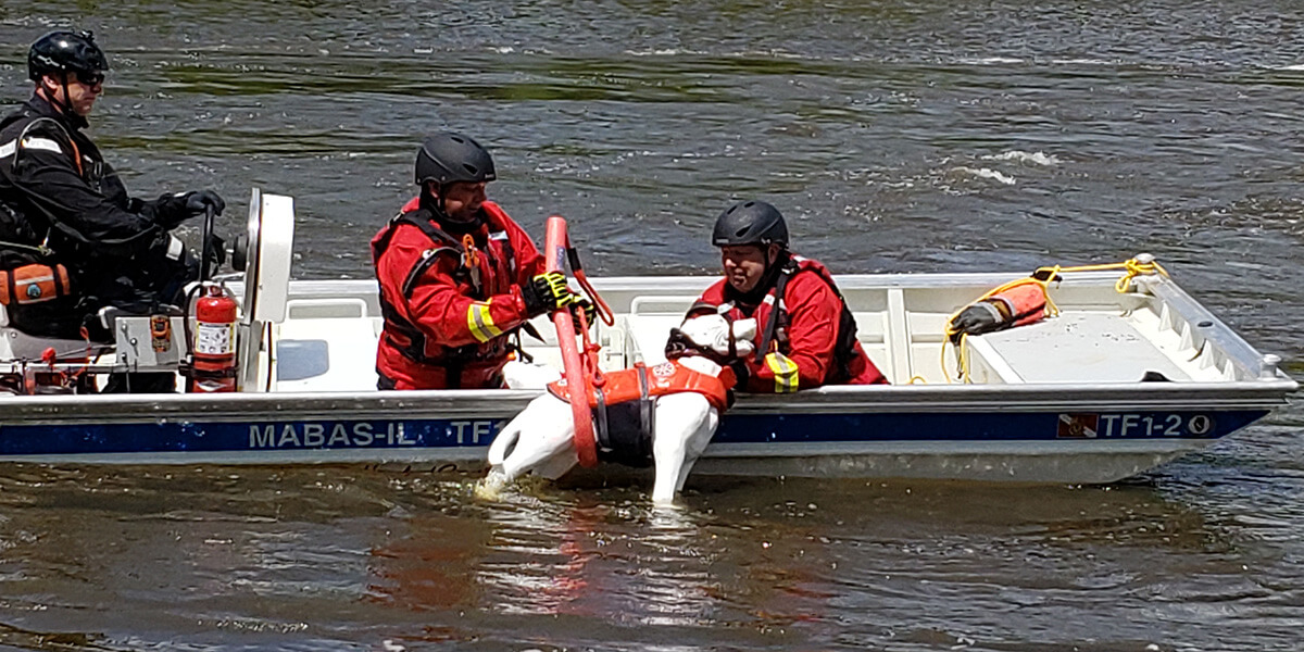 animal rescue specialist course