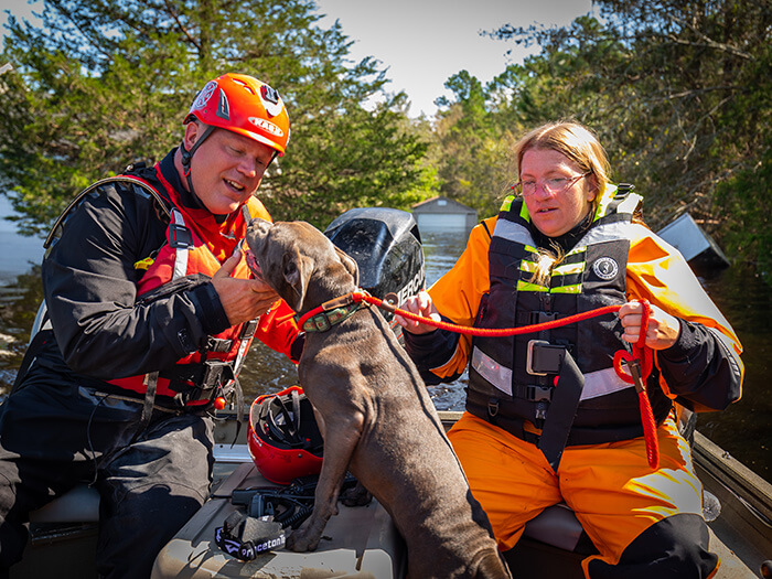 animal rescue trainers and specialists