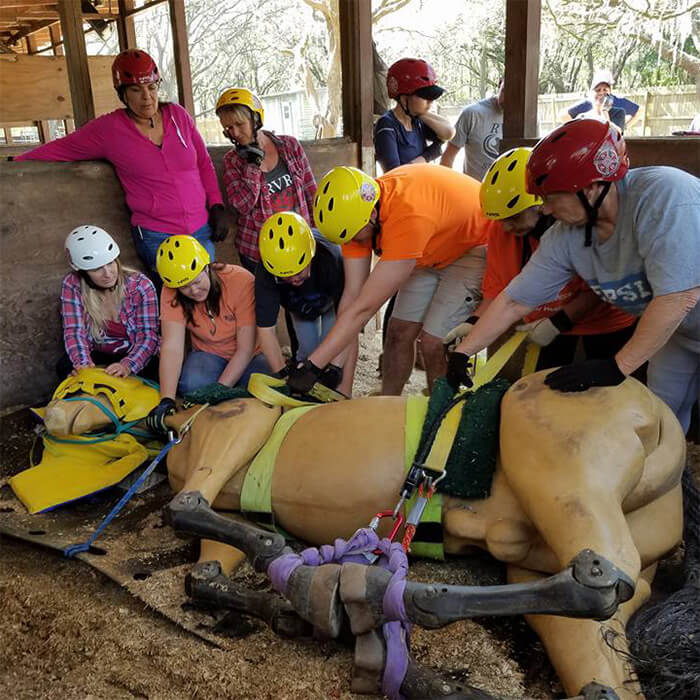 large animal rescue training