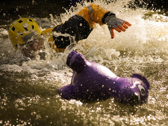 swiftwater animal rescue training