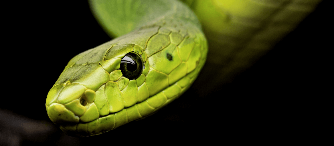 Code Venom Trauma Solutions Training Envenomation Training