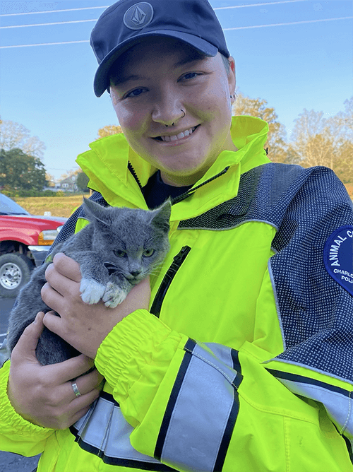 animal control and rescue team