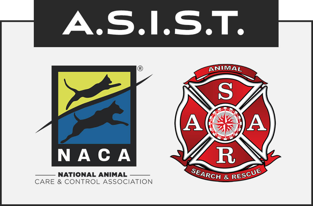 asist program logos