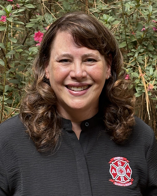 brigid elchos best team