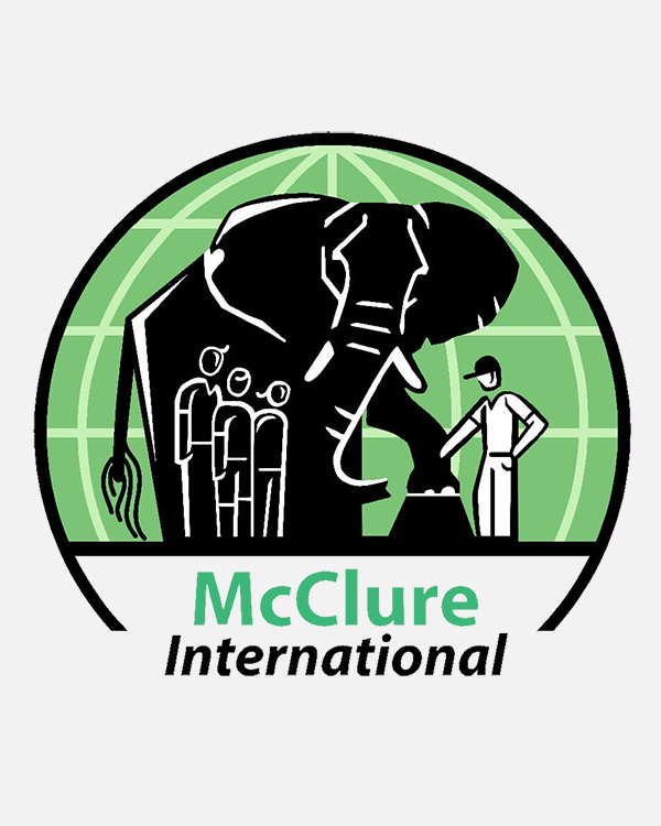 mcclure international logo